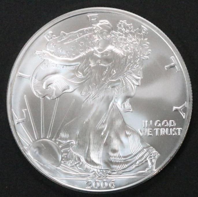 2006 Silver Eagle Uncirculated Plastic pouch (1 of 5)