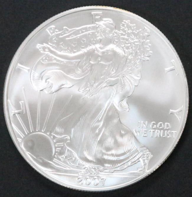2007 Silver Eagle Uncirculated Plastic pouch (1 of 5)