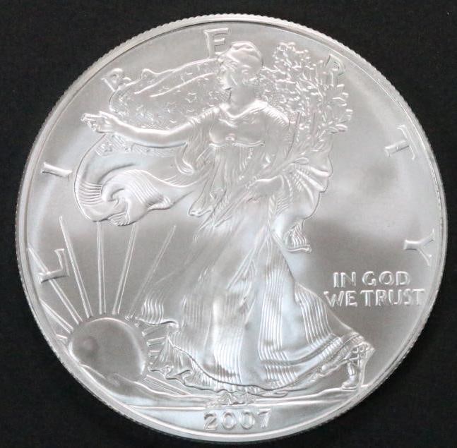 2007 Silver Eagle Uncirculated Plastic pouch (1 of 6)