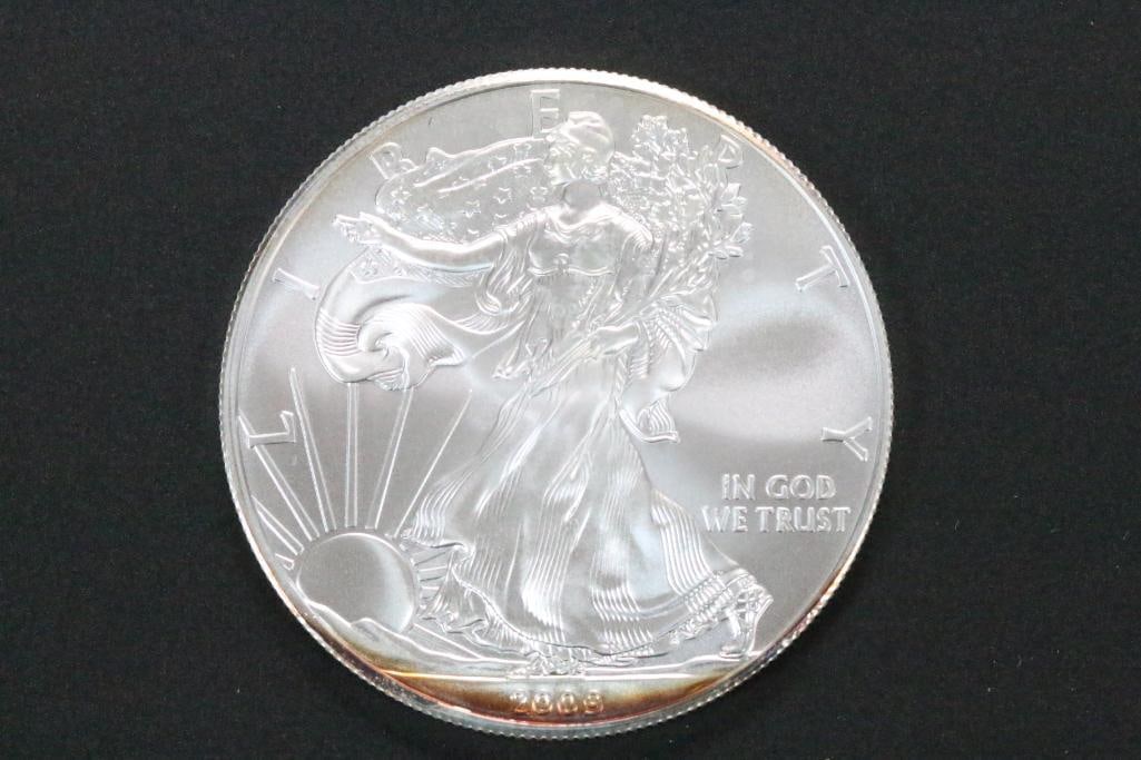 2009 Silver Eagle Uncirculated Plastic pouch (1 of 4)