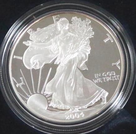 2004 W American Eagle One Ounce Proof Silver Bullion Coin (1 of 7)