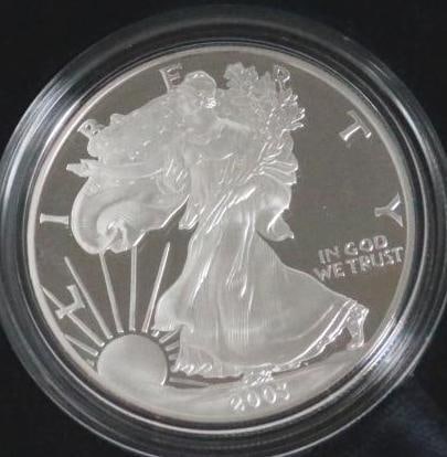 2003 W American Eagle One Ounce Proof Silver Bullion Coin (1 of 5)