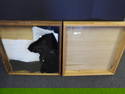 LOT of 2 Wood and Glass Display Cases, Handmade