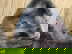 item-208729576=19