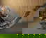 item-208729576=9