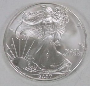 2007 Silver Eagle Uncirculated Plastic pouch