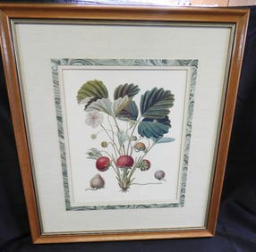 Framed botanical art of a strawberry plant