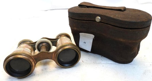 Antique Mother of Pearl Opera Glasses in Case