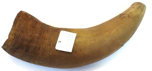 Vintage natural animal hunter horn ?bull