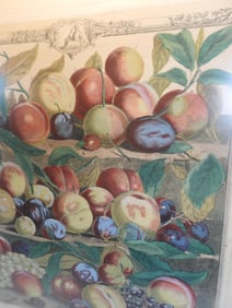 Colonial Williamsburg framed Botanical Anniversary Print, 1732