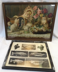 LOT OF 2 framed vintage prints of cat and fish