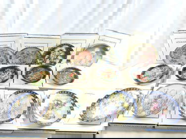 LOT OF 13 Sulamith Wulfing decorative plates in boxes