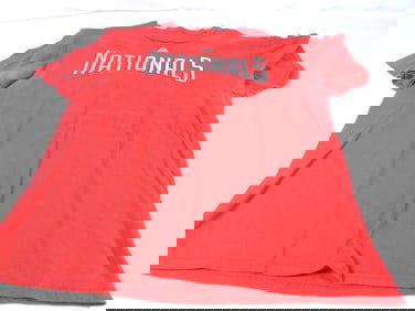 LOT OF 12 MLB WASHINGTON NATIONALS collectibles