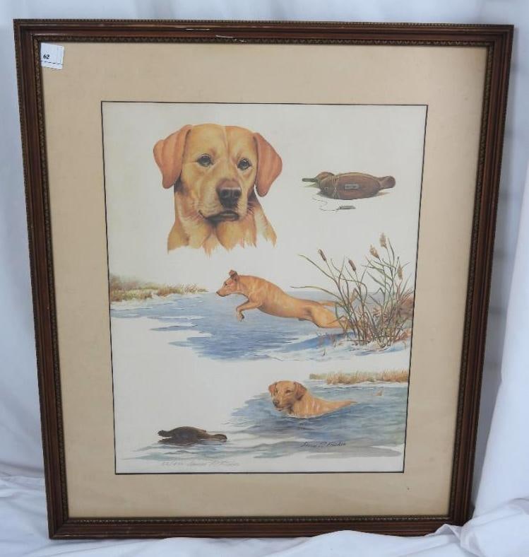 JAMES P. FISHER SIGNED LE YELLOW LABRADOR FRAMED: LIMITED EDITION WATERCOLOR PRINT: 1 Water color print signed by James P. Fisher 52/450 of a yellow labrador set in three scenes, a facial portrait, jumping into reeds, and hunting a duck (dimensions w
