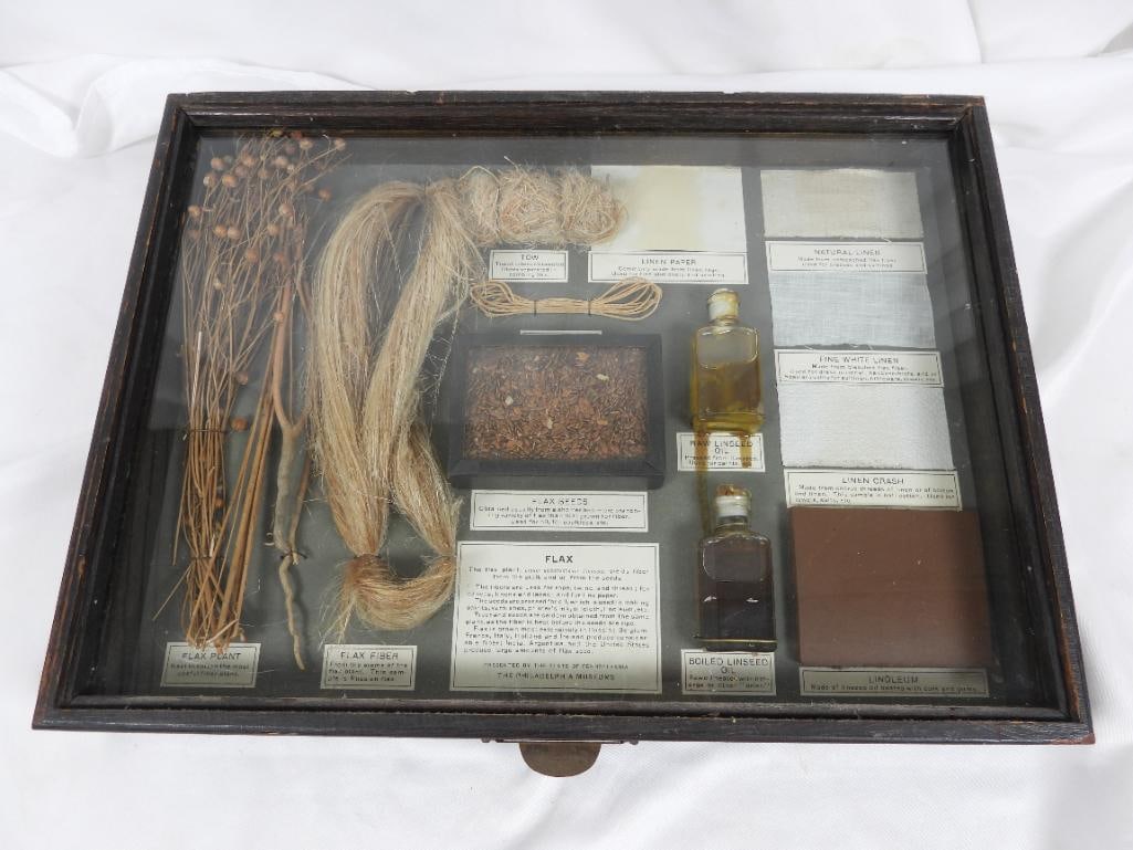 Vintage Philadelphia Museum Flax display: Mint condition flax display feature various flax plants, their use in crafting, and place of origin; Bottle of linseed oil has been compromised and is leaking