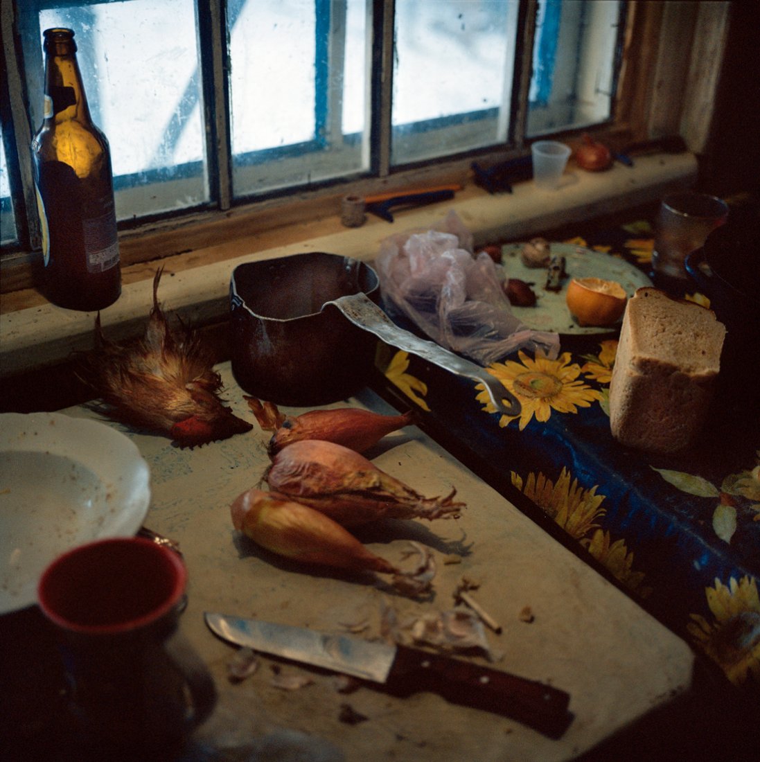 Rena Effendi, "Galina’s Chicken Broth. Chernobyl" (1 of 1)
