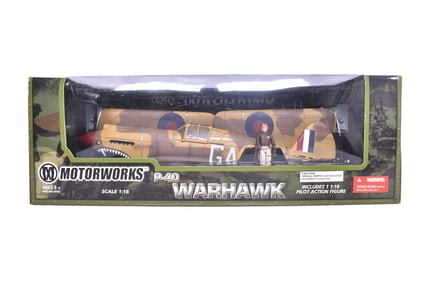 Motorworks / 21 Century Toys 1:18 P-40 Warhawk Model Plane