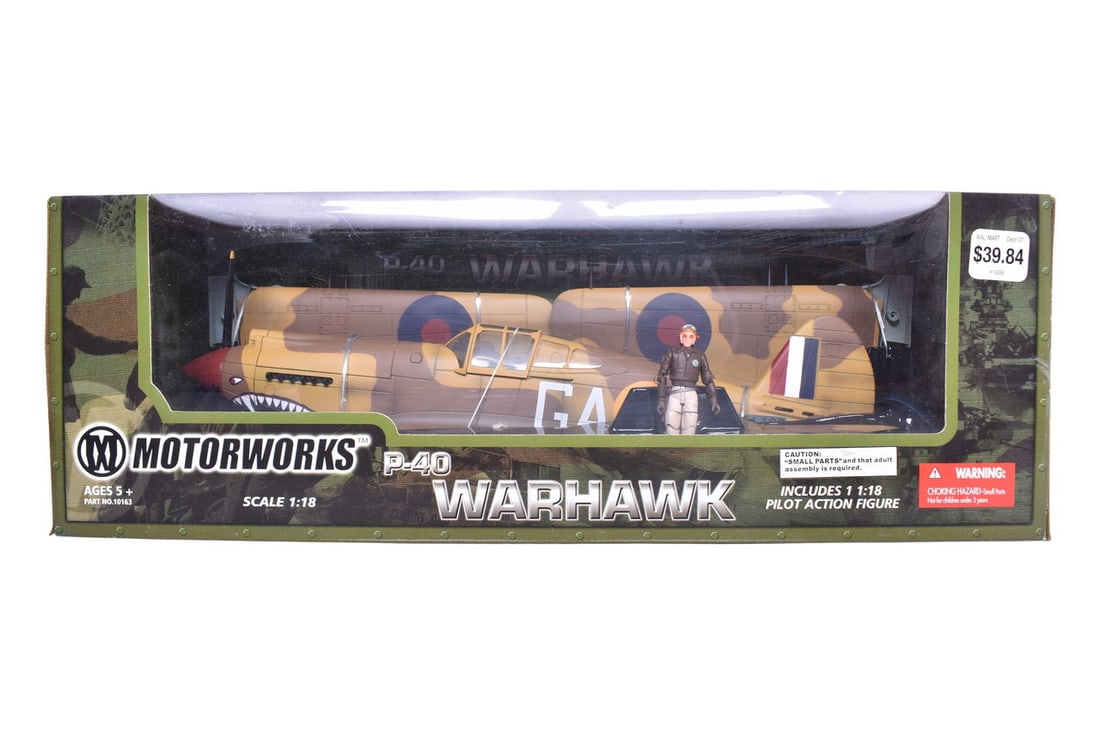 Motorworks / 21 Century Toys 1:18 P-40 Warhawk Model Plane (1 of 2)