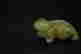 item-104672619=3