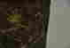 item-104672620=3
