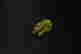 item-104672622=3