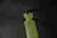 item-104672629=3