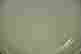 item-104672633=3
