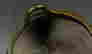 item-104673166=4