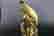 item-104673320=2
