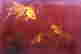 item-131848873=2