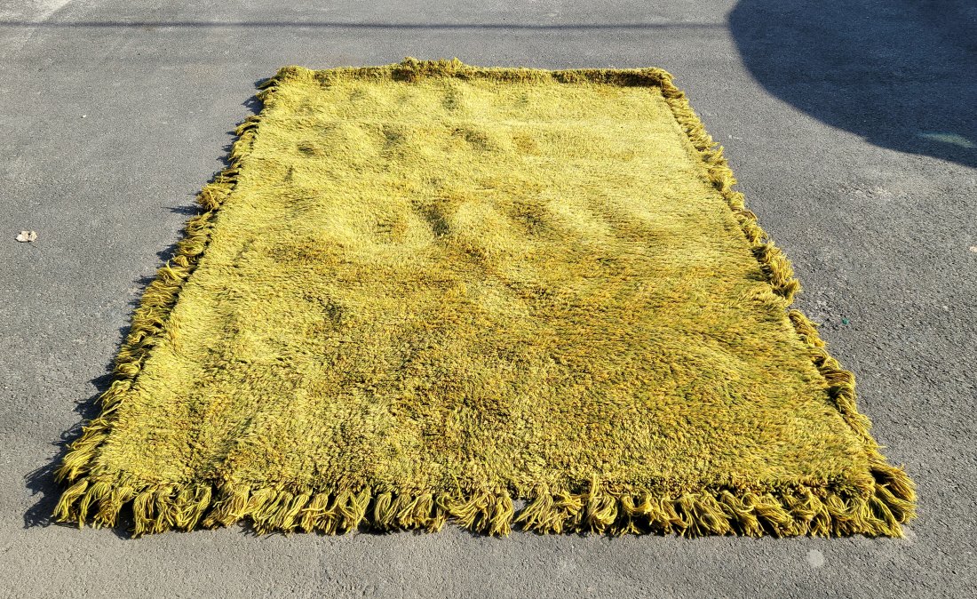 Modern Shaggy Carpet (1 of 6)