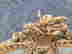 item-127639353=2
