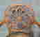 item-130911368=3