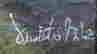 item-131311202=3