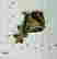 item-111570467=4