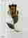 item-111570552=4