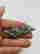 item-108270822=7