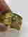 item-108270835=7