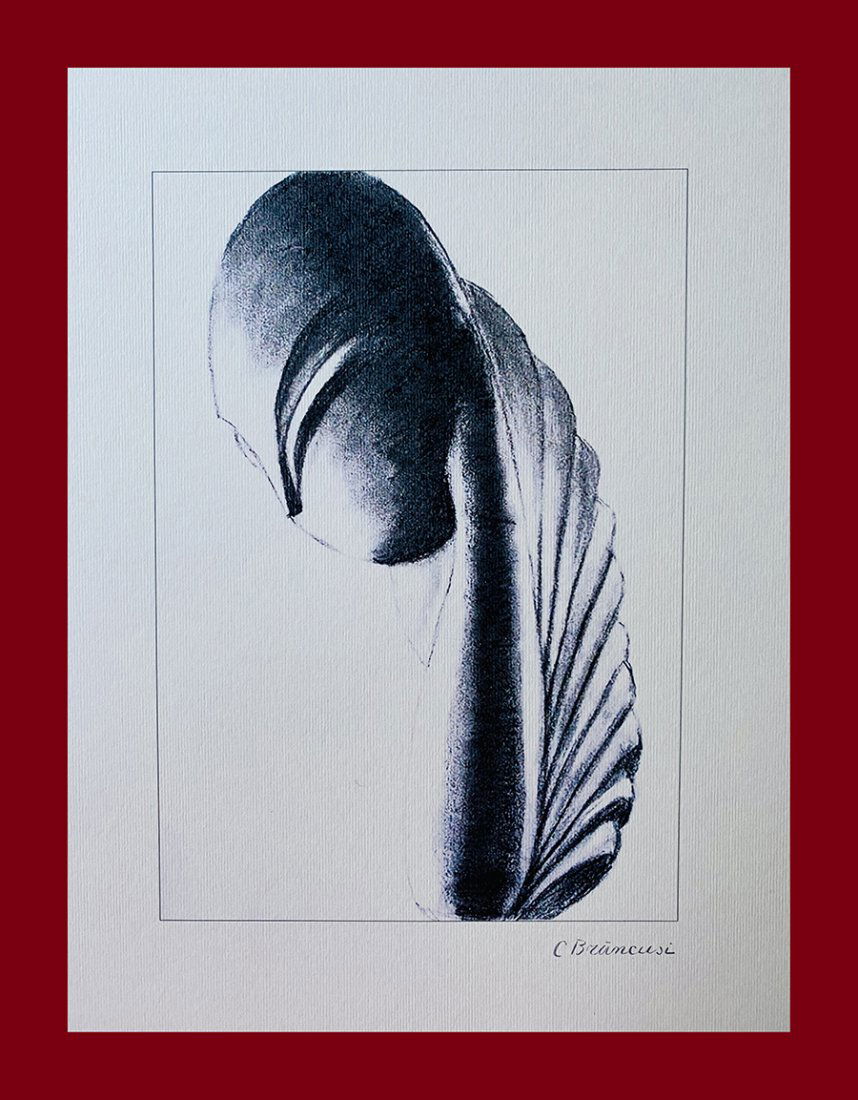 Constantin Brancusi - Study for a sculpture: Constantin Brancusi "Study for a Sculpture". Beautiful lithograph by the romanian master Constantin Brancusi. Limited edition. Published by Centre Pompidou, Paris. Lithograph, signed on plate on the r