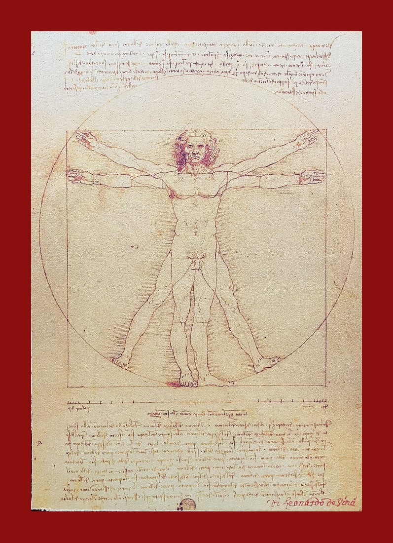 Leonardo Da Vinci - Vitruvian Man (1 of 5)