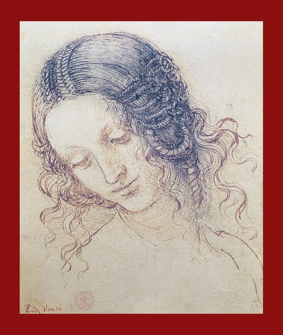Leonardo Da Vinci - Head of Leda (1 of 6)
