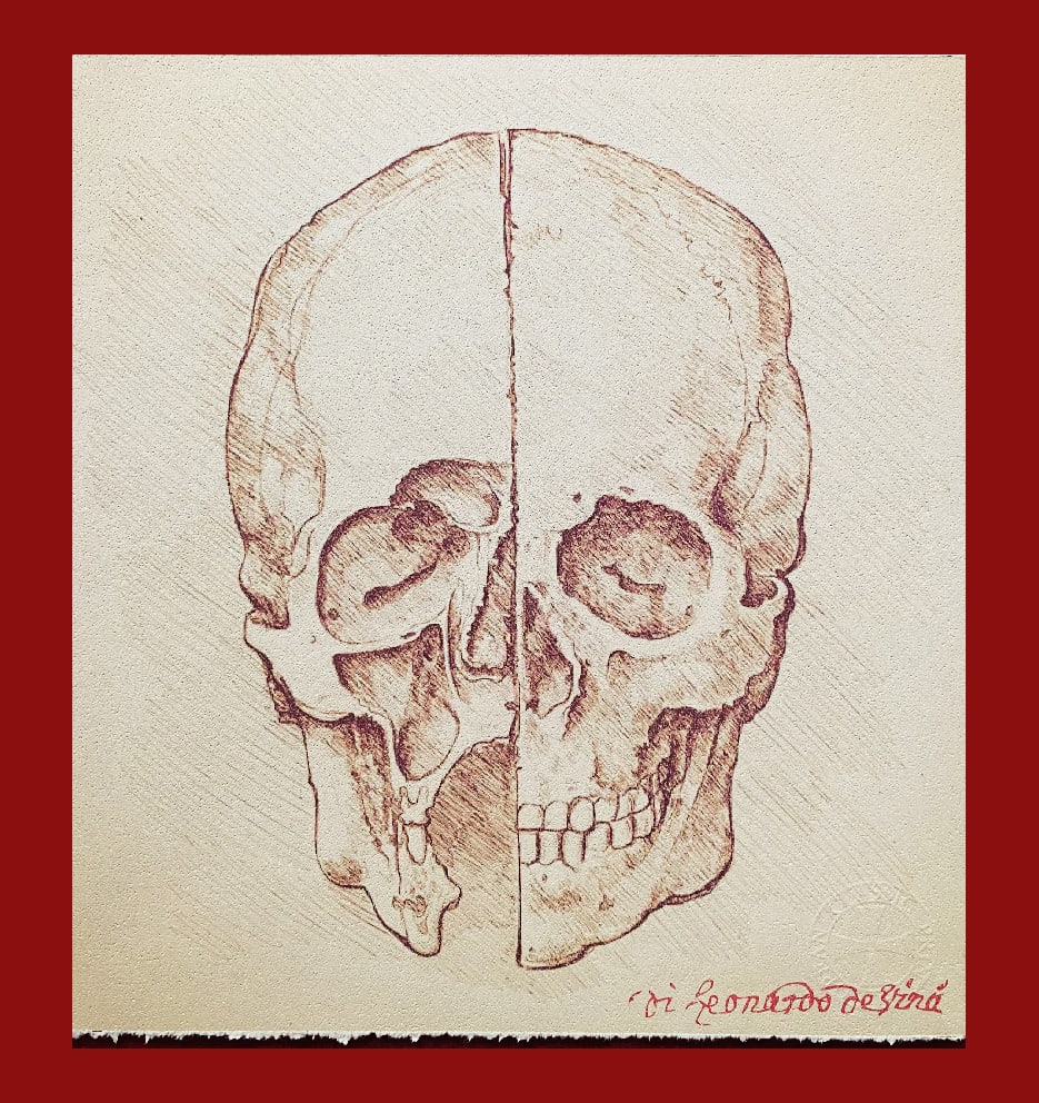 Leonardo Da Vinci - Study of the Human Skull (1 of 5)