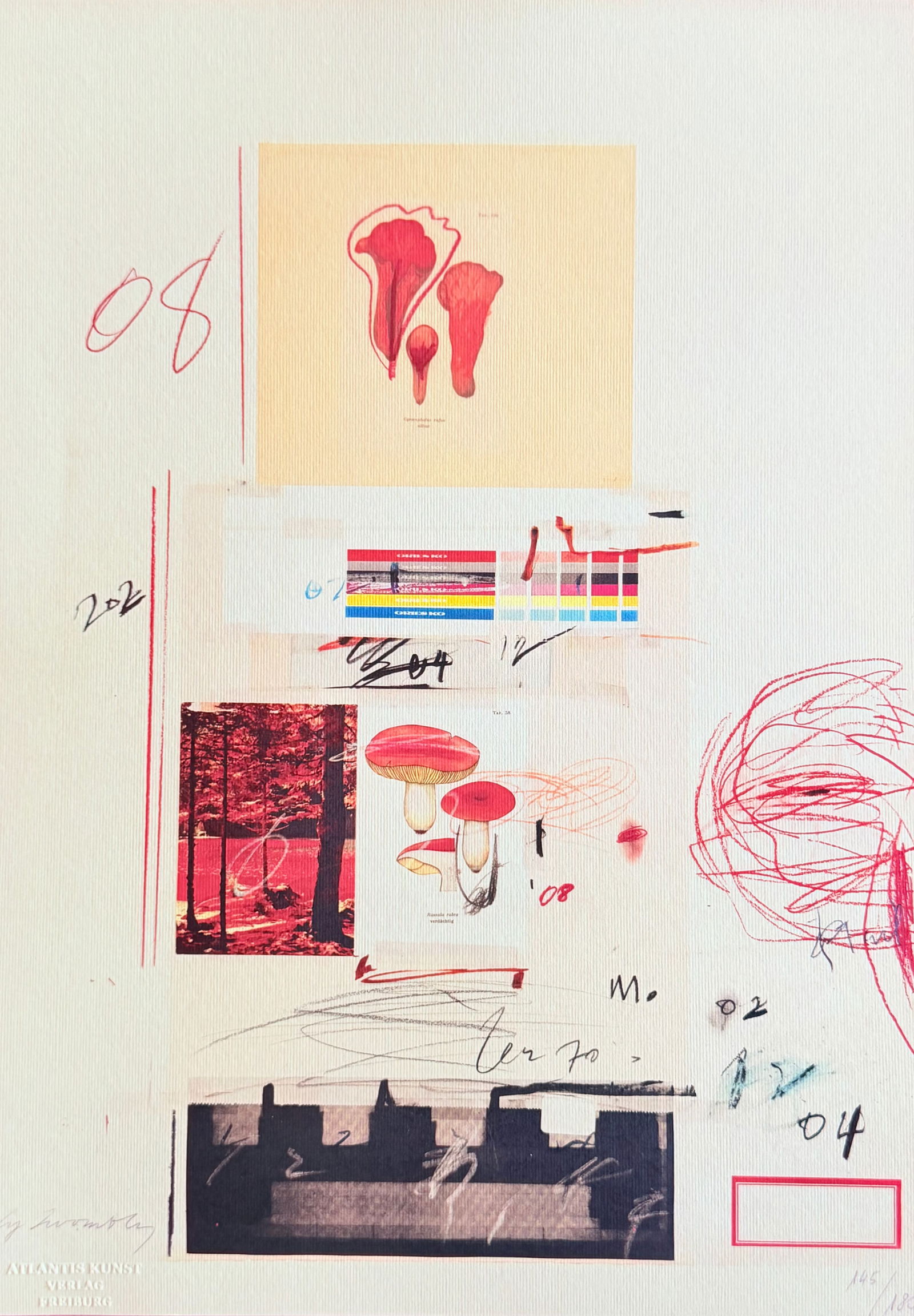 Cy Twombly - Natural History (1 of 5)