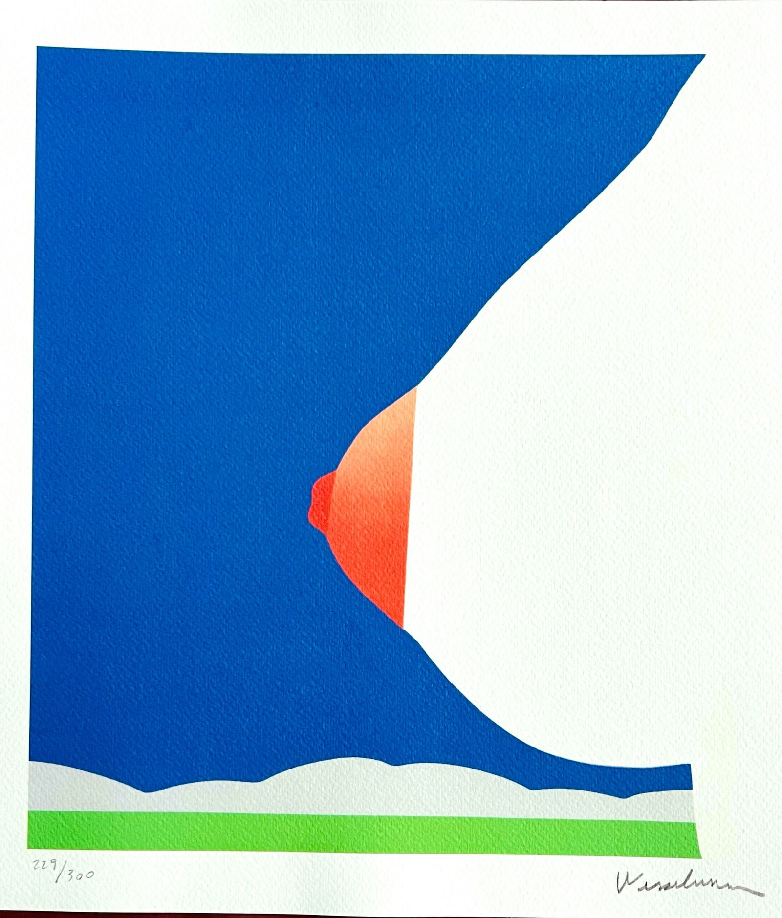 Tom Wesselmann - Seascape: Tom Wesselmann "Seascape" Chromolitograph after an original work. Print-signed lower right. Numbered lower left. Excellent conditions. Shipped with care in solid tube, fast shipping in 3-4 days all ov