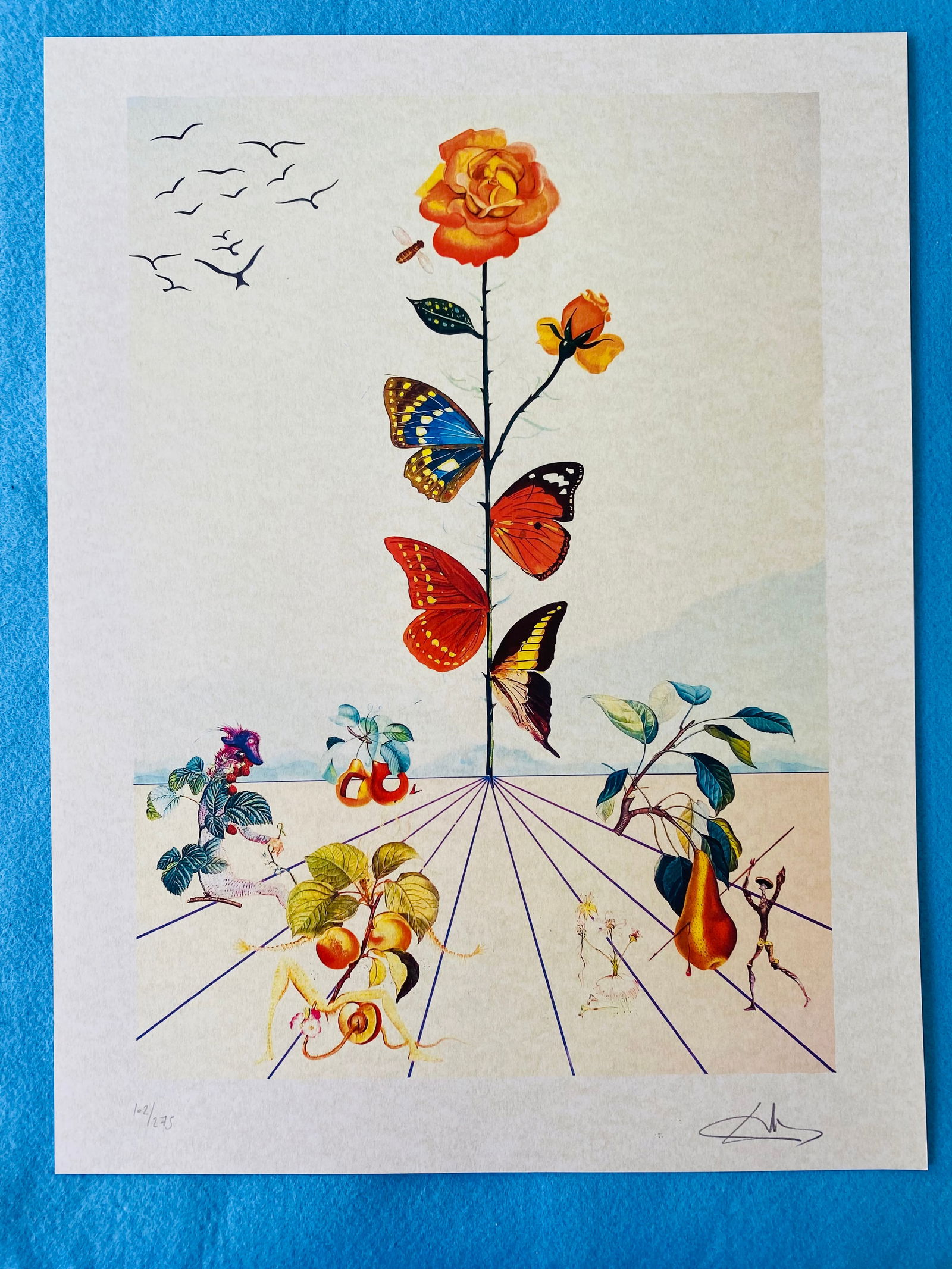 Salvador Dali - Flordali: Salvador Dali "Flordali" Chromolitograph after an original work. Print-signed lower right. Numbered lower left. Excellent conditions. Shipped with care in solid tube, fast shipping in 3-4 days all