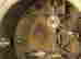 item-100224346=11