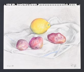 A small late 20th century crayon and graphite still life by Francisco Zuniga