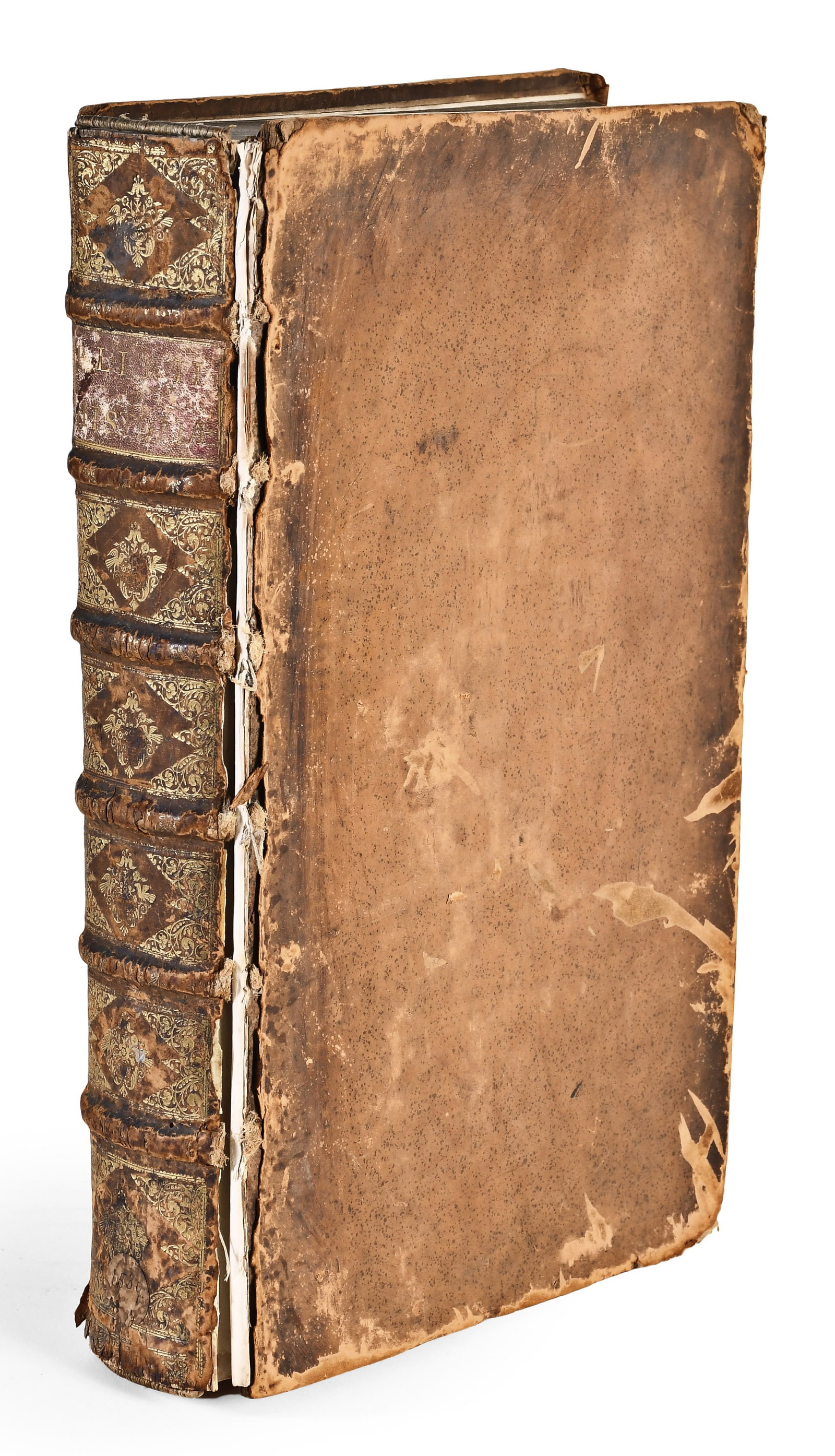 C. PLINII SECUNDI HISTORIAE MUNDI LIBRI XXXVII: C. PLINII SECUNDI HISTORIAE MUNDI LIBRI XXXVII. (Basileae, 1539), folio, later speckled calf, spine in seven panels