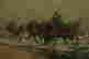item-4553815=3