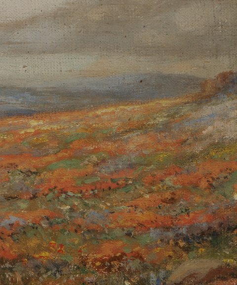 ANGEL ESPOY California Poppies Oil Painting - 3